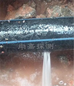 惠州消防管道漏点探测